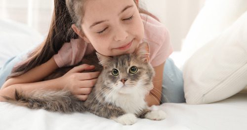 little-girl-cuddling-with-brown-and-white-kitten-on-bed