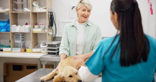 woman-talking-with-female-vet-during-appointment-at-clinic