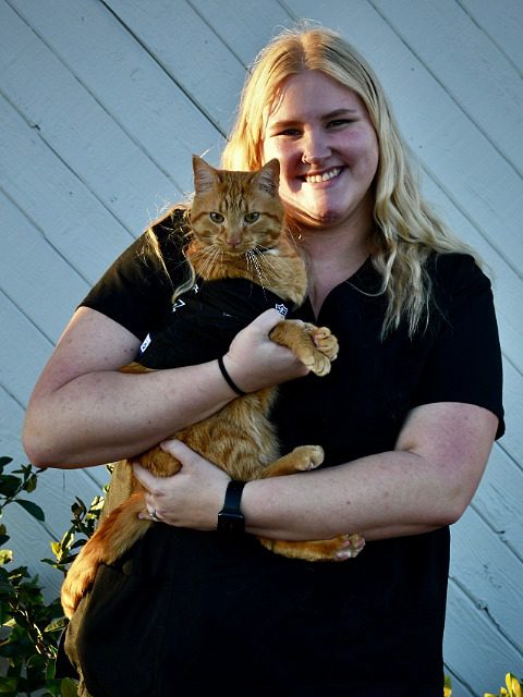 Abi - female with blonde hair holding an orange tabby cat